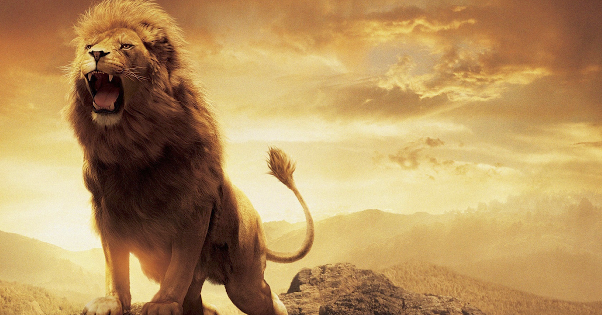 Become the lion and speak with confidence | Level Up Living